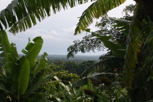 Uganda - a tropical paradise! 
