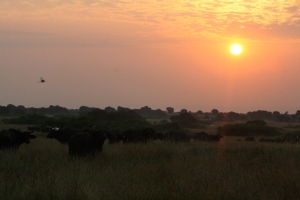 African sunrise at Queen Elizabeth National Park